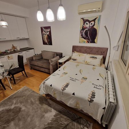 Owl Apartment 贝尔格莱德 外观 照片