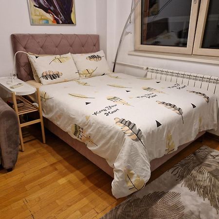 Owl Apartment 贝尔格莱德 外观 照片