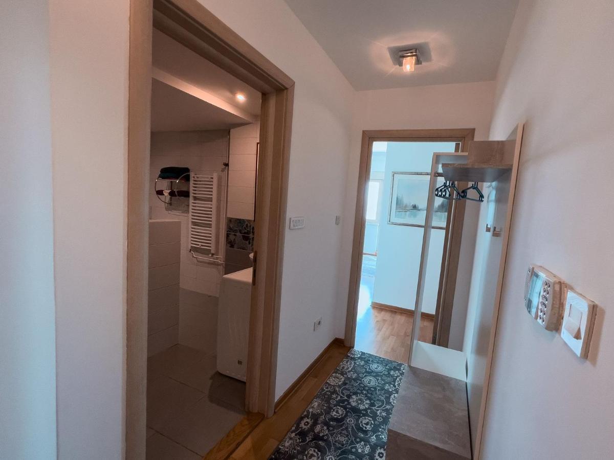 Owl Apartment 贝尔格莱德 外观 照片