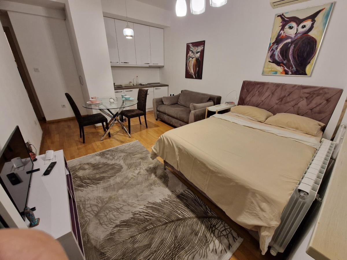 Owl Apartment 贝尔格莱德 外观 照片
