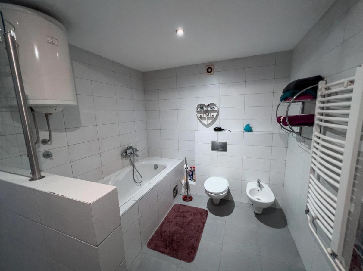 Owl Apartment 贝尔格莱德 外观 照片