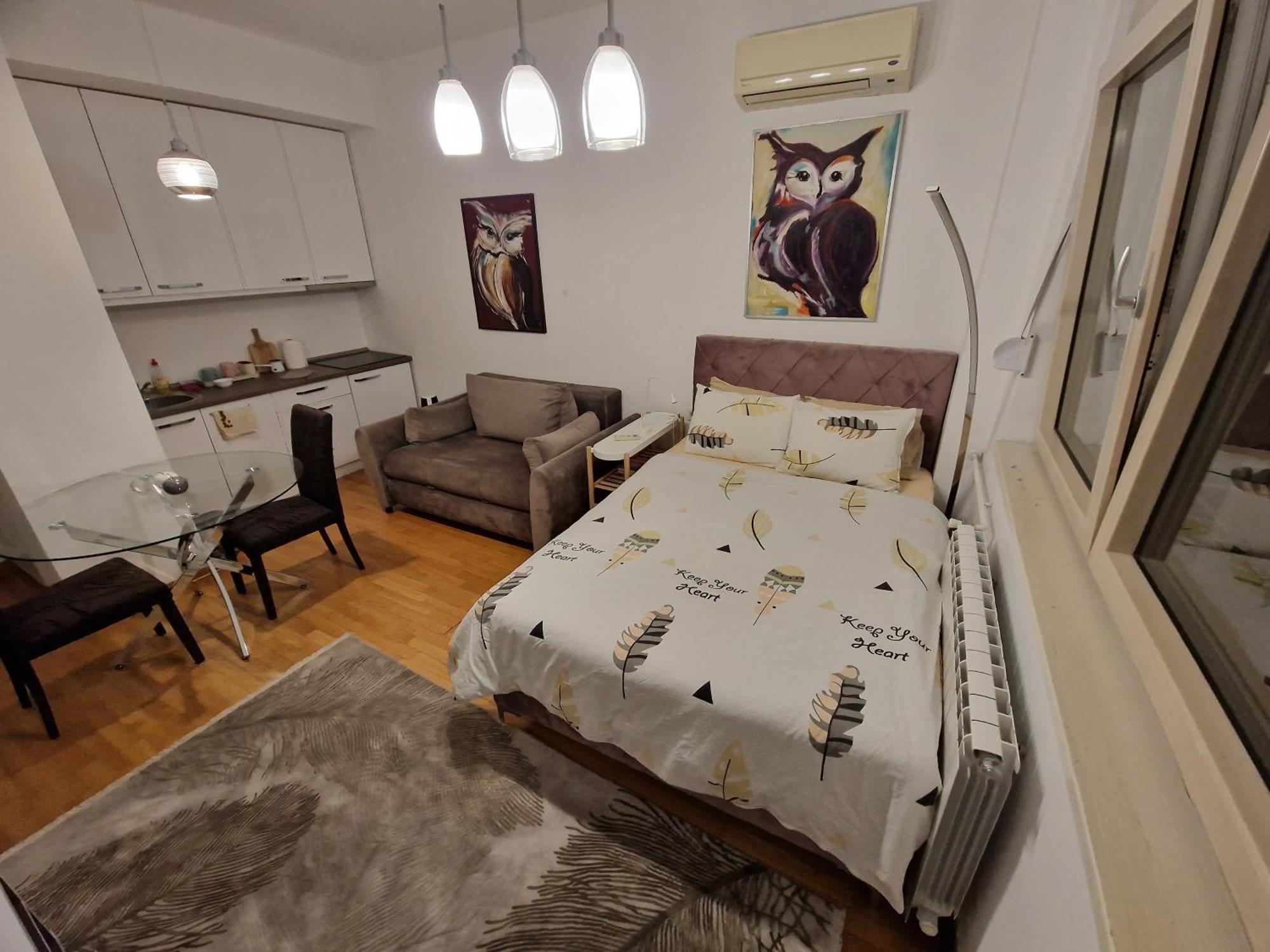 Owl Apartment 贝尔格莱德 外观 照片